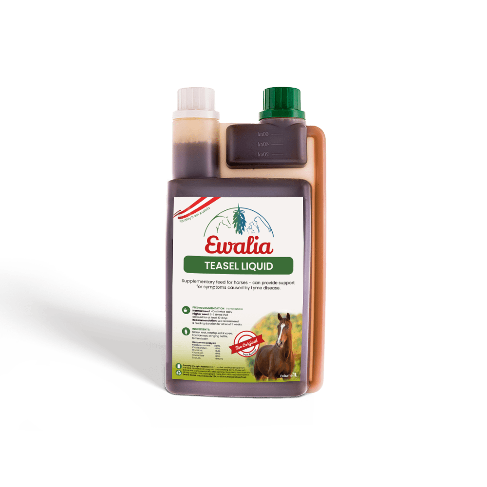 Ewalia herbal liquids upright teasel liquid