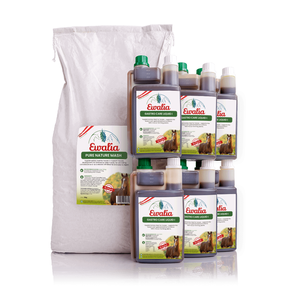 Bundle horse gastro care liquid 6L pure nature mash